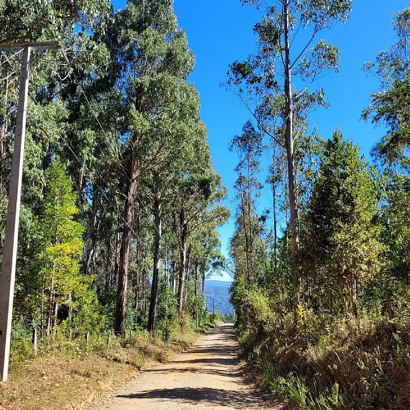 VIVE LA NATURALEZA DE VALDIVIA AL MEJOR PRECIO...        