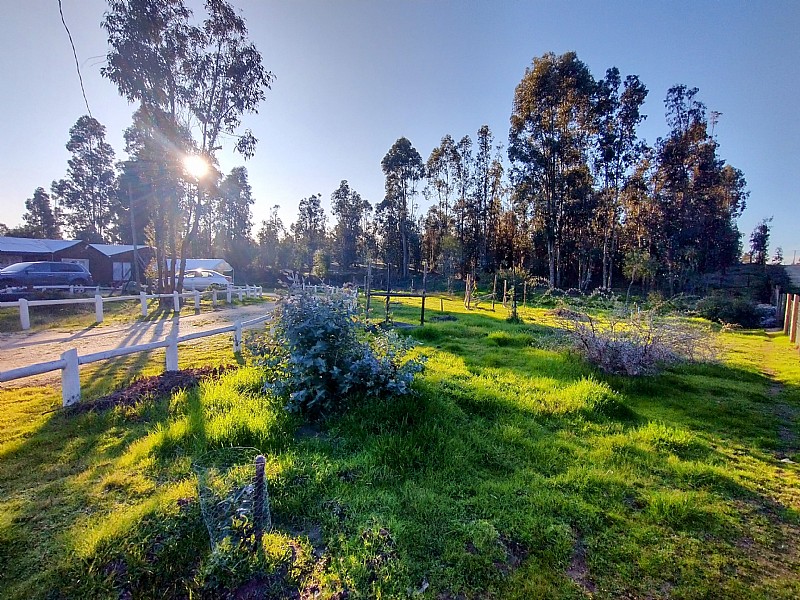 PARCELA 5.000 M2 CON CASA 120 M2 EN VENTA EN LITUECHE