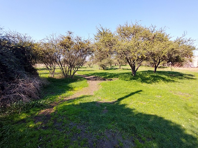 PARCELA URBANIZADA 3.5HA EN MARA PINTO