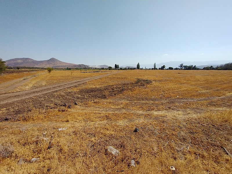 PARCELAS 5.000 M2 SECTOR EL COLORADO, COLINA 