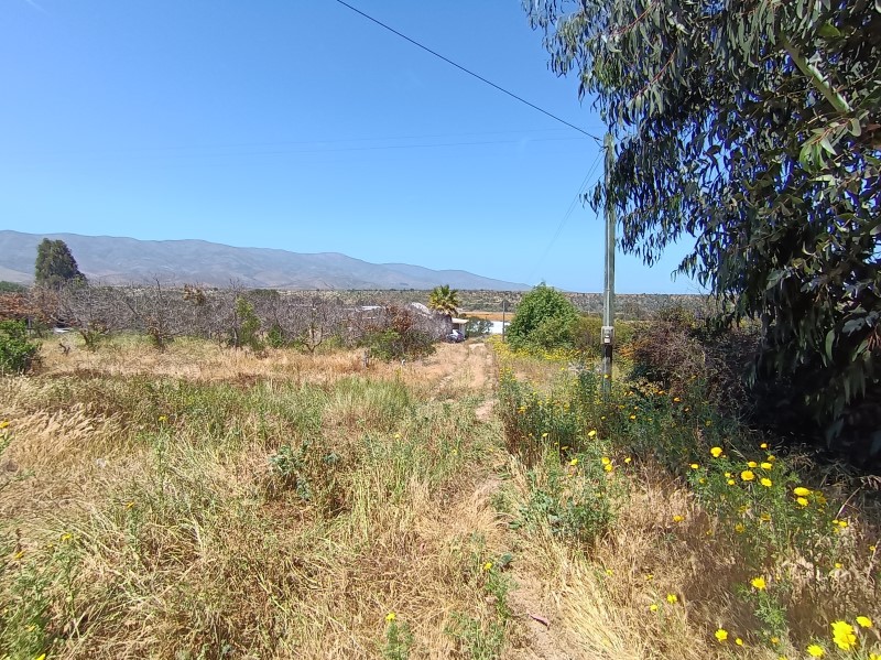 PARCELA 7.5 HECTAREAS MAITEN LARGO