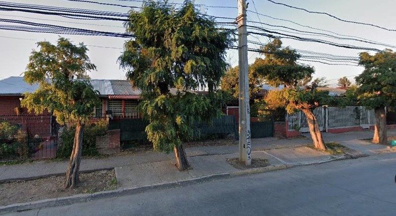 SE VENE EL BOSQUE