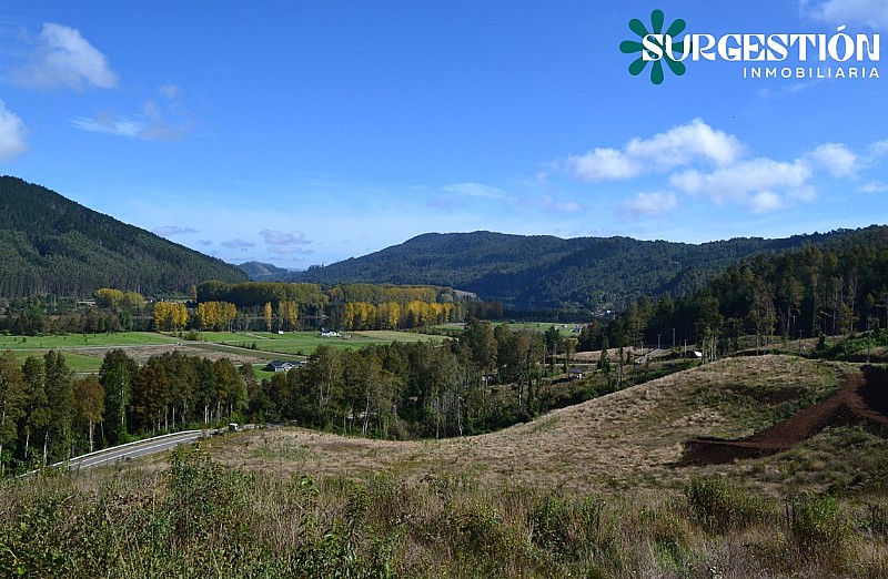 PARCELA EN VALDIVIA, PROYECTO ALTO RO