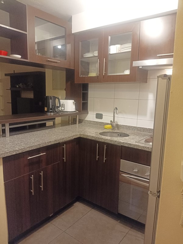DEPARTAMENTO AMOBLADO 1D+1B,BELLAS ARTES