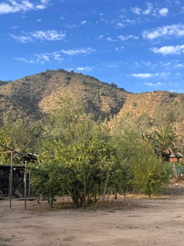 VILLA SANTA LUISA .COMUNA DE MARIA PINTO...                    