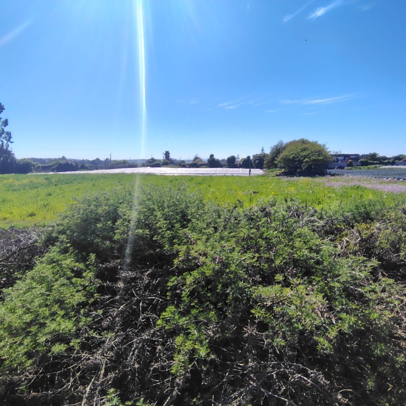 FOCOLARE VENDE TERRENOS EN SANTO DOMINGO 