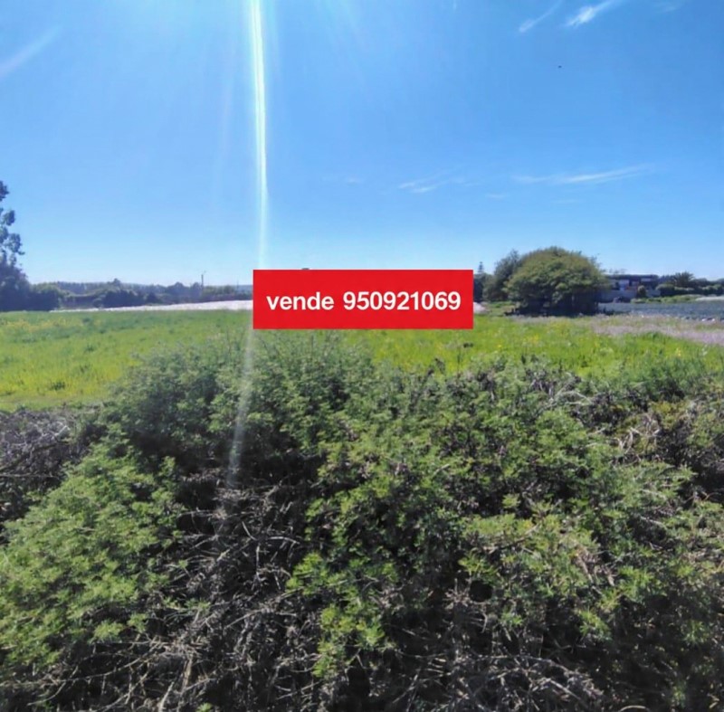 FOCOLARE VENDE TERRENOS EN SANTO DOMINGO 