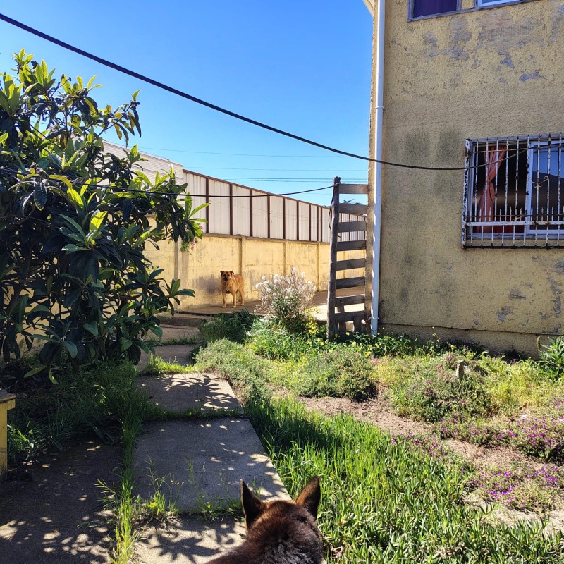 FOCOLARE PROPIEDADES VENDE CASA EN SAN SEBASTIAN 