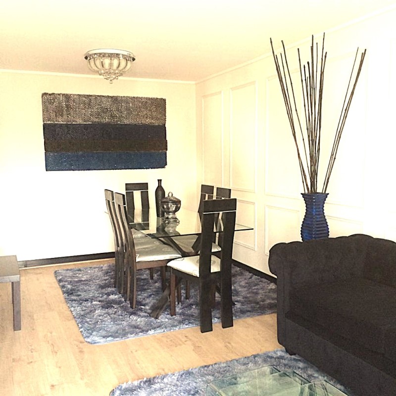 SE ARRIENDA DEPARTAMENTO 2D2B 1E MANUEL MONTT- PROVIDENCIA