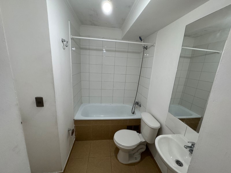 EL MOLINO / VIVACETA