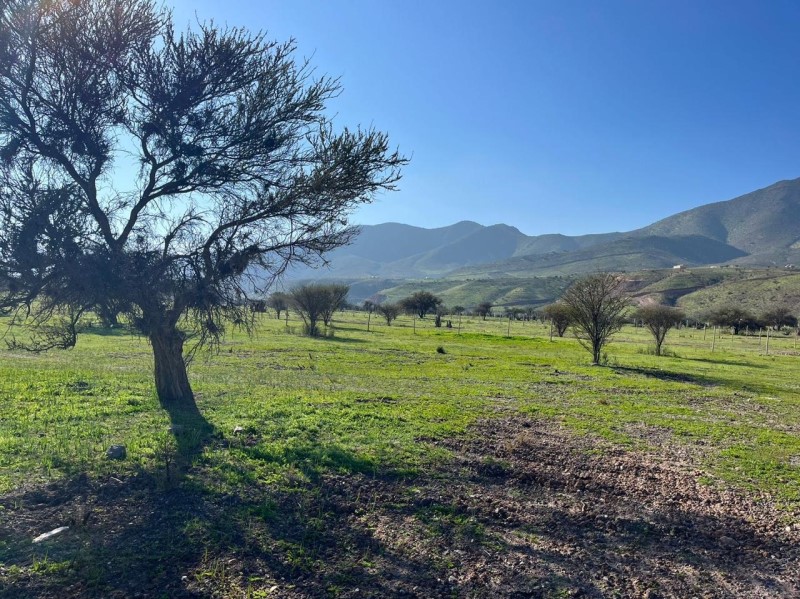 PARCELAS AGRO- RESIDENCIALES ALTO LOS TALHUENES