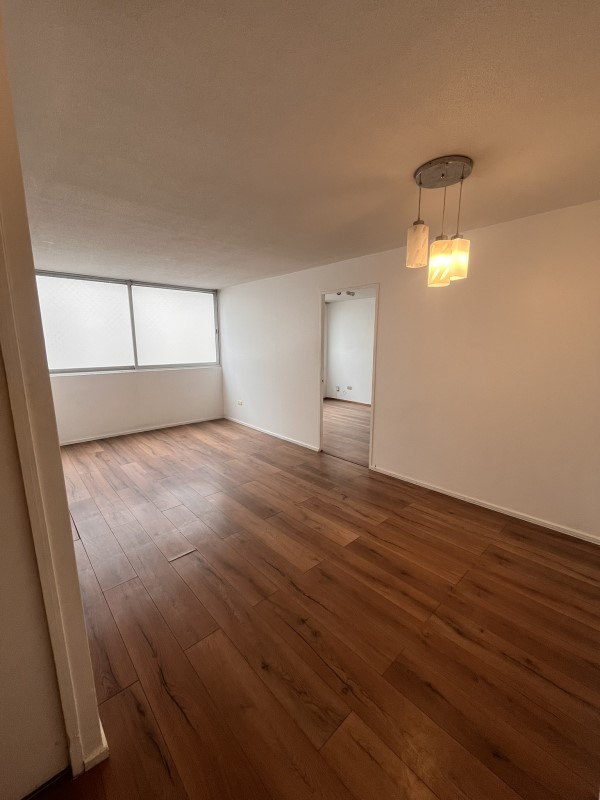 AMPLIO DEPARTAMENTO 1D+1B...                                                  