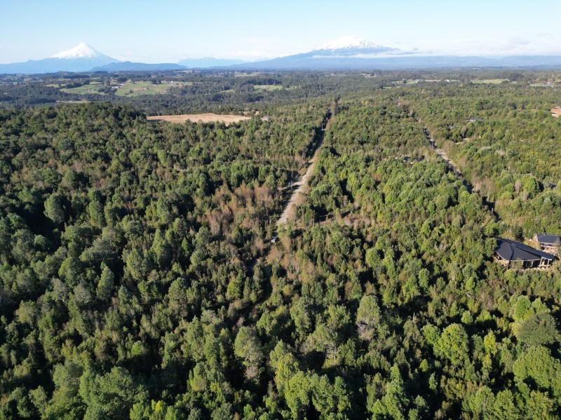 PARCELA EN CONDOMINIO CON PORT�N DE ACCESO 5020 M2...