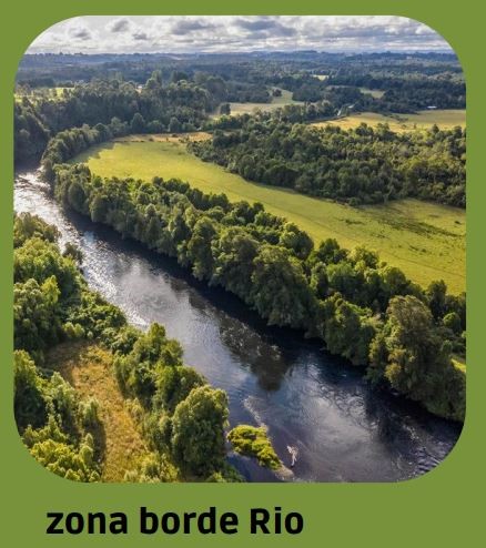 PARCELAS EN PUERTO MONTT...&nbsp; &nbsp; &nbsp; &nbsp; &nbsp; &nbsp; &nbsp; &nbsp; &nbsp; &nbsp; &nbsp; &nbsp; &nbsp; &nbsp; &nbsp; &nbsp; &nbsp; &nbsp; &nbsp; &nbsp; &nbsp; &nbsp; &nbsp; &nbsp; &nbsp; &nbsp; 