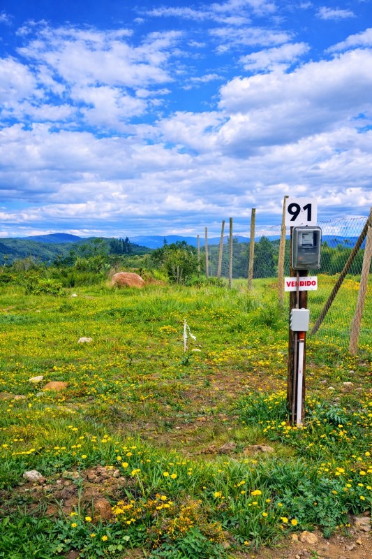 SANTA ROSA DE COLMO QUINTERO...&nbsp; &nbsp; &nbsp; &nbsp; &nbsp; &nbsp; &nbsp; &nbsp; &nbsp; &nbsp; &nbsp; &nbsp; &nbsp; &nbsp; &nbsp; &nbsp; &nbsp; &nbsp; &nbsp; &nbsp; &nbsp; &nbsp; 