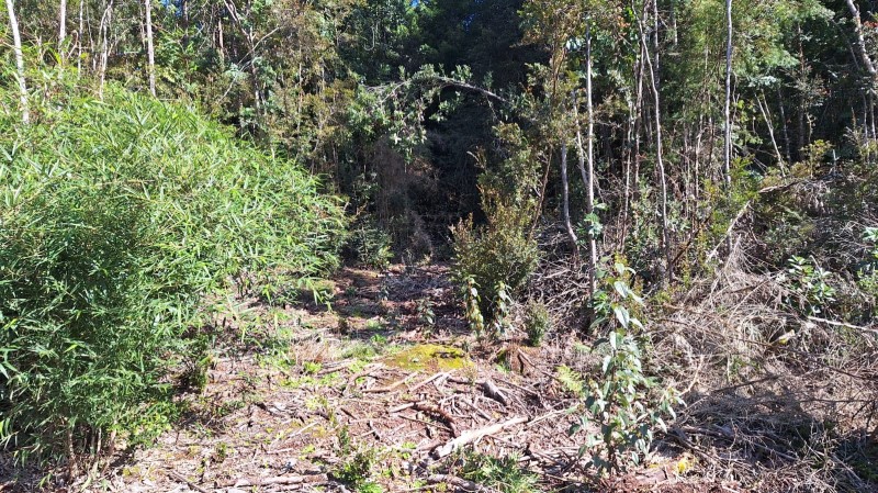 CONDOMINIO BOSQUE VIDA...&nbsp; &nbsp; &nbsp; &nbsp; &nbsp; &nbsp; &nbsp; &nbsp; &nbsp; &nbsp; &nbsp; &nbsp; &nbsp; &nbsp; &nbsp; &nbsp; &nbsp; &nbsp; &nbsp; &nbsp; &nbsp; &nbsp; &nbsp; &nbsp; &nbsp; &nbsp; &nbsp; &nbsp; 