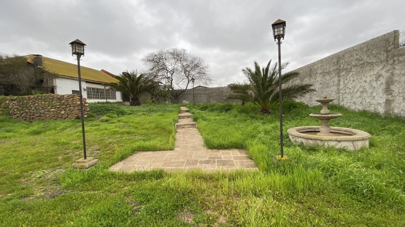 PAN DE AZUCAR...&nbsp; &nbsp; &nbsp; &nbsp; &nbsp; &nbsp; &nbsp; &nbsp; &nbsp; &nbsp; &nbsp; &nbsp; &nbsp; &nbsp; &nbsp; &nbsp; &nbsp; &nbsp; &nbsp; &nbsp; &nbsp; &nbsp; &nbsp; &nbsp; &nbsp; &nbsp; &nbsp; &nbsp; &nbsp; &nbsp; &nbsp; &nbsp; &nbsp; &nbsp; &nbsp; &nbsp; &nbsp; 