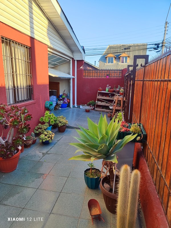 GREGORIA CON OJOS DE AGUA, ATRAS DEL LYAHONA...&nbsp; &nbsp; &nbsp; &nbsp; &nbsp; &nbsp; 