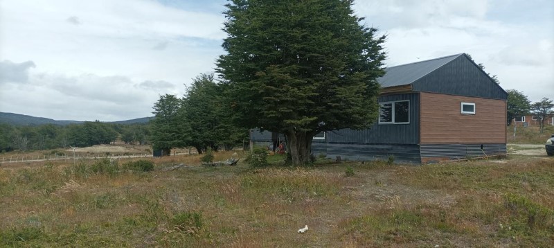 ALTO LE�ADURA PUNTA ARENAS...&nbsp; &nbsp; &nbsp; &nbsp; &nbsp; &nbsp; &nbsp; &nbsp; &nbsp; &nbsp; &nbsp; &nbsp; &nbsp; &nbsp; &nbsp; &nbsp; &nbsp; &nbsp; &nbsp; &nbsp; &nbsp; &nbsp; &nbsp; &nbsp; 