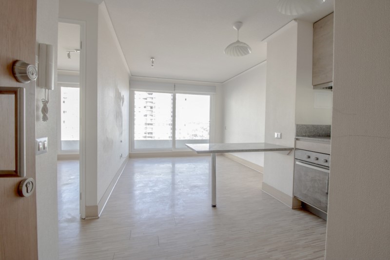 SECTOR MACUL CON QUIL�N...&nbsp; &nbsp; &nbsp; &nbsp; &nbsp; &nbsp; &nbsp; &nbsp; &nbsp; &nbsp; &nbsp; &nbsp; &nbsp; &nbsp; &nbsp; &nbsp; &nbsp; &nbsp; &nbsp; &nbsp; &nbsp; &nbsp; &nbsp; &nbsp; &nbsp; &nbsp; &nbsp; 