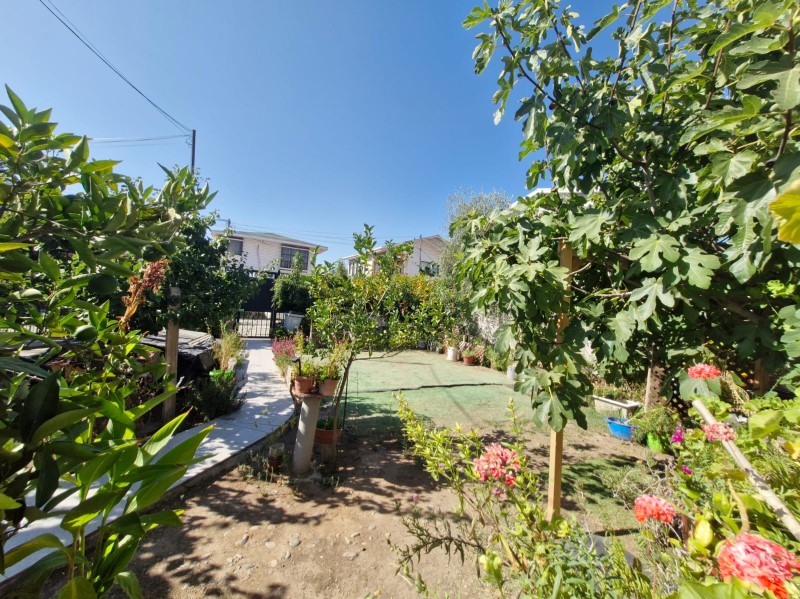 PASAJE MANIO...&nbsp; &nbsp; &nbsp; &nbsp; &nbsp; &nbsp; &nbsp; &nbsp; &nbsp; &nbsp; &nbsp; &nbsp; &nbsp; &nbsp; &nbsp; &nbsp; &nbsp; &nbsp; &nbsp; &nbsp; &nbsp; &nbsp; &nbsp; &nbsp; &nbsp; &nbsp; &nbsp; &nbsp; &nbsp; &nbsp; &nbsp; &nbsp; &nbsp; &nbsp; &nbsp; &nbsp; &nbsp; &nbsp; 