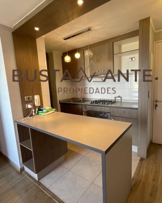 INDISA MAIPU...&nbsp; &nbsp; &nbsp; &nbsp; &nbsp; &nbsp; &nbsp; &nbsp; &nbsp; &nbsp; &nbsp; &nbsp; &nbsp; &nbsp; &nbsp; &nbsp; &nbsp; &nbsp; &nbsp; &nbsp; &nbsp; &nbsp; &nbsp; &nbsp; &nbsp; &nbsp; &nbsp; &nbsp; &nbsp; &nbsp; &nbsp; &nbsp; &nbsp; &nbsp; &nbsp; &nbsp; &nbsp; &nbsp; 