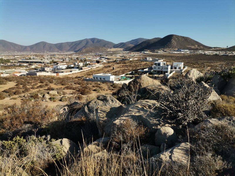 COQUIMBO...&nbsp; &nbsp; &nbsp; &nbsp; &nbsp; &nbsp; &nbsp; &nbsp; &nbsp; &nbsp; &nbsp; &nbsp; &nbsp; &nbsp; &nbsp; &nbsp; &nbsp; &nbsp; &nbsp; &nbsp; &nbsp; &nbsp; &nbsp; &nbsp; &nbsp; &nbsp; &nbsp; &nbsp; &nbsp; &nbsp; &nbsp; &nbsp; &nbsp; &nbsp; &nbsp; &nbsp; &nbsp; &nbsp; &nbsp; &nbsp; &nbsp; &nbsp; 