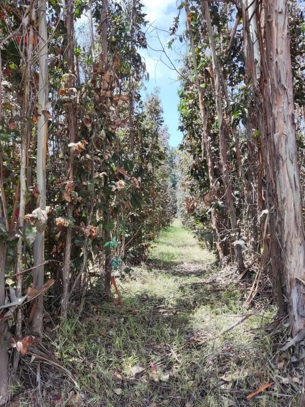 TOTORAL...&nbsp; &nbsp; &nbsp; &nbsp; &nbsp; &nbsp; &nbsp; &nbsp; &nbsp; &nbsp; &nbsp; &nbsp; &nbsp; &nbsp; &nbsp; &nbsp; &nbsp; &nbsp; &nbsp; &nbsp; &nbsp; &nbsp; &nbsp; &nbsp; &nbsp; &nbsp; &nbsp; &nbsp; &nbsp; &nbsp; &nbsp; &nbsp; &nbsp; &nbsp; &nbsp; &nbsp; &nbsp; &nbsp; &nbsp; &nbsp; &nbsp; &nbsp; &nbsp; 