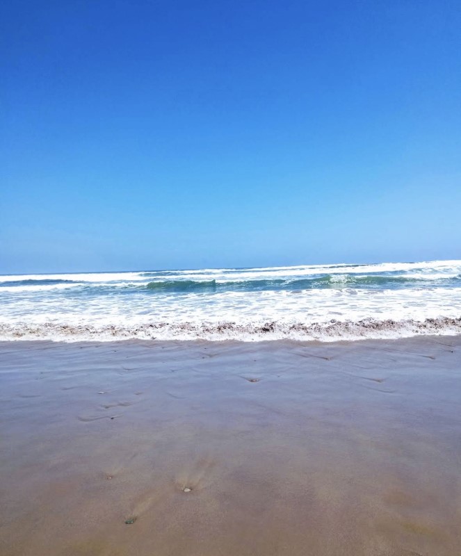 PUNTA CHOROS ISLA DAMAS...&nbsp; &nbsp; &nbsp; &nbsp; &nbsp; &nbsp; &nbsp; &nbsp; &nbsp; &nbsp; &nbsp; &nbsp; &nbsp; &nbsp; &nbsp; &nbsp; &nbsp; &nbsp; &nbsp; &nbsp; &nbsp; &nbsp; &nbsp; &nbsp; &nbsp; &nbsp; &nbsp; 