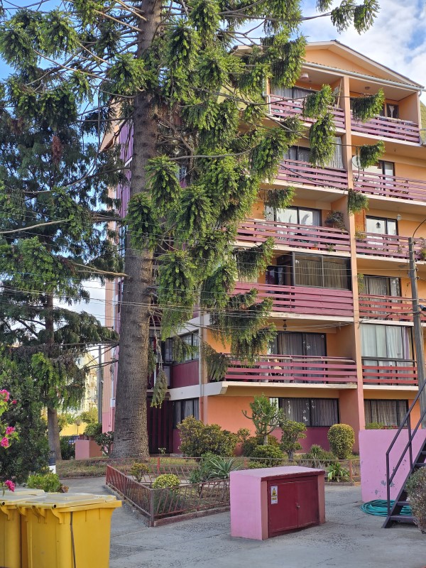 AV. NORUEGA 350...&nbsp; &nbsp; &nbsp; &nbsp; &nbsp; &nbsp; &nbsp; &nbsp; &nbsp; &nbsp; &nbsp; &nbsp; &nbsp; &nbsp; &nbsp; &nbsp; &nbsp; &nbsp; &nbsp; &nbsp; &nbsp; &nbsp; &nbsp; &nbsp; &nbsp; &nbsp; &nbsp; &nbsp; &nbsp; &nbsp; &nbsp; &nbsp; &nbsp; &nbsp; &nbsp; 