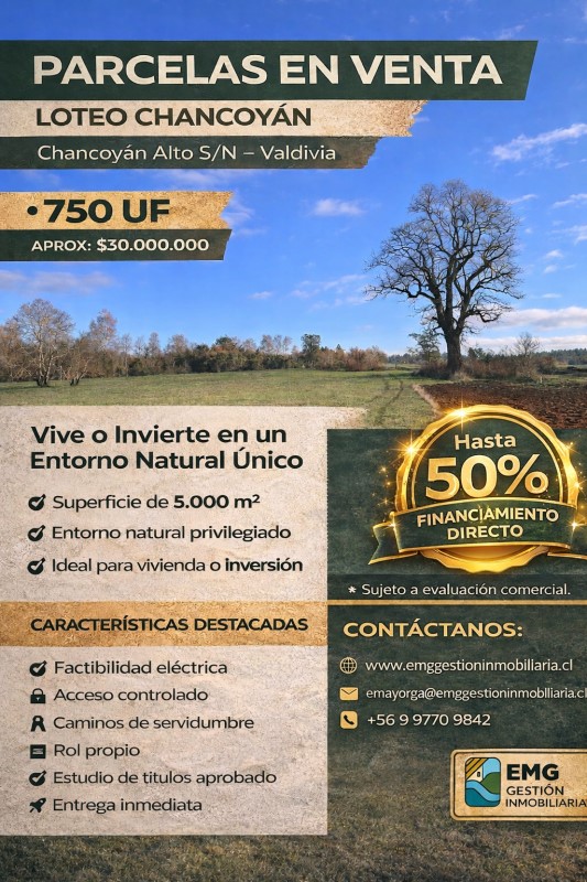 CHANCOYAN ALTO S N...&nbsp; &nbsp; &nbsp; &nbsp; &nbsp; &nbsp; &nbsp; &nbsp; &nbsp; &nbsp; &nbsp; &nbsp; &nbsp; &nbsp; &nbsp; &nbsp; &nbsp; &nbsp; &nbsp; &nbsp; &nbsp; &nbsp; &nbsp; &nbsp; &nbsp; &nbsp; &nbsp; &nbsp; &nbsp; &nbsp; &nbsp; &nbsp; 