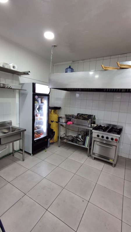 PIO X / LOS LEONES...&nbsp; &nbsp; &nbsp; &nbsp; &nbsp; &nbsp; &nbsp; &nbsp; &nbsp; &nbsp; &nbsp; &nbsp; &nbsp; &nbsp; &nbsp; &nbsp; &nbsp; &nbsp; &nbsp; &nbsp; &nbsp; &nbsp; &nbsp; &nbsp; &nbsp; &nbsp; &nbsp; &nbsp; &nbsp; &nbsp; &nbsp; &nbsp; 