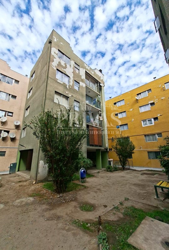 LOS CANCILLERES CON LAS CODORNICES...&nbsp; &nbsp; &nbsp; &nbsp; &nbsp; &nbsp; &nbsp; &nbsp; &nbsp; &nbsp; &nbsp; &nbsp; &nbsp; &nbsp; &nbsp; &nbsp; 