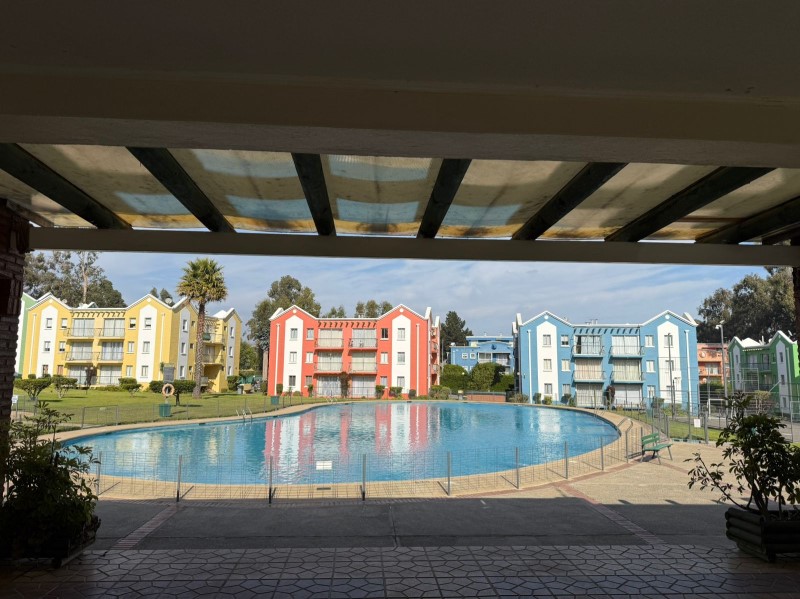 ALGARROBO...&nbsp; &nbsp; &nbsp; &nbsp; &nbsp; &nbsp; &nbsp; &nbsp; &nbsp; &nbsp; &nbsp; &nbsp; &nbsp; &nbsp; &nbsp; &nbsp; &nbsp; &nbsp; &nbsp; &nbsp; &nbsp; &nbsp; &nbsp; &nbsp; &nbsp; &nbsp; &nbsp; &nbsp; &nbsp; &nbsp; &nbsp; &nbsp; &nbsp; &nbsp; &nbsp; &nbsp; &nbsp; &nbsp; &nbsp; &nbsp; &nbsp; 